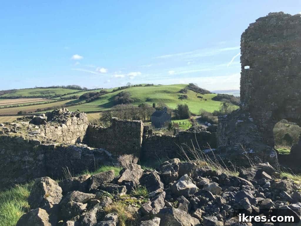 Southeast Ireland's Treasures: Kilkenny, Cashel, Durrow, and Wedding Memories 20 Serene view from the Rock of Dunamase, showcasing the vast Irish countryside