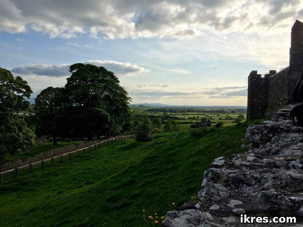 Southeast Ireland's Treasures: Kilkenny, Cashel, Durrow, and Wedding Memories 23 Pastoral scene in rural Tipperary, with grazing sheep and ancient ruins
