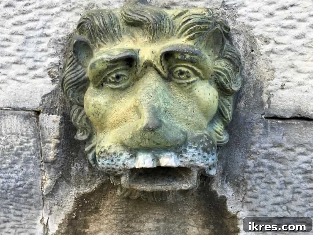 Southeast Ireland's Treasures: Kilkenny, Cashel, Durrow, and Wedding Memories 30 Historic architecture in Cashel, reflecting the town's rich heritage
