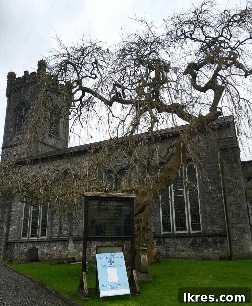 Southeast Ireland's Treasures: Kilkenny, Cashel, Durrow, and Wedding Memories 4 Charming narrow alleyway in Kilkenny, showcasing medieval architecture