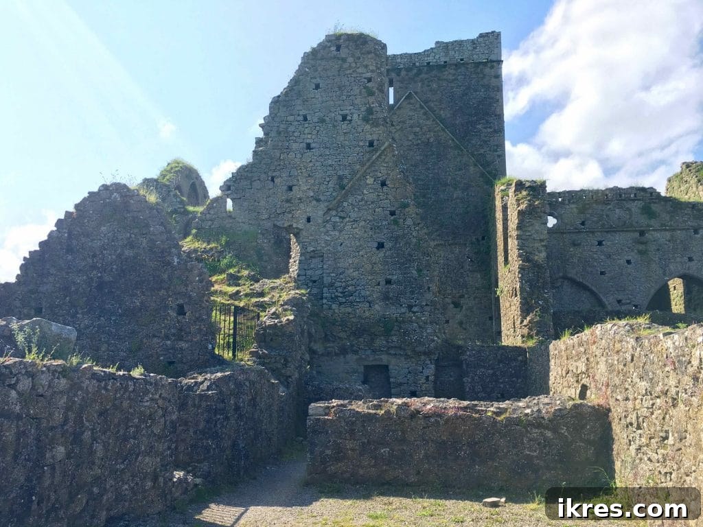 Southeast Ireland's Treasures: Kilkenny, Cashel, Durrow, and Wedding Memories 31 The peaceful ruins of Hore Abbey near Cashel, surrounded by nature