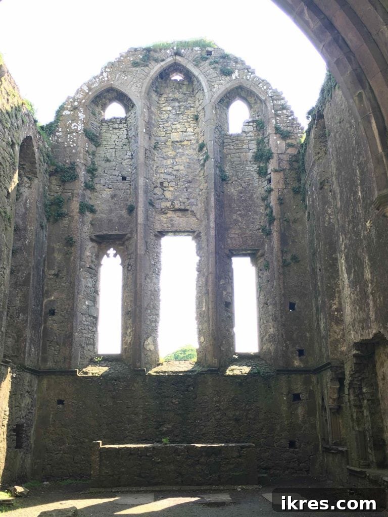 Southeast Ireland's Treasures: Kilkenny, Cashel, Durrow, and Wedding Memories 33 Close-up of weathered stone and moss at Hore Abbey, showing its age