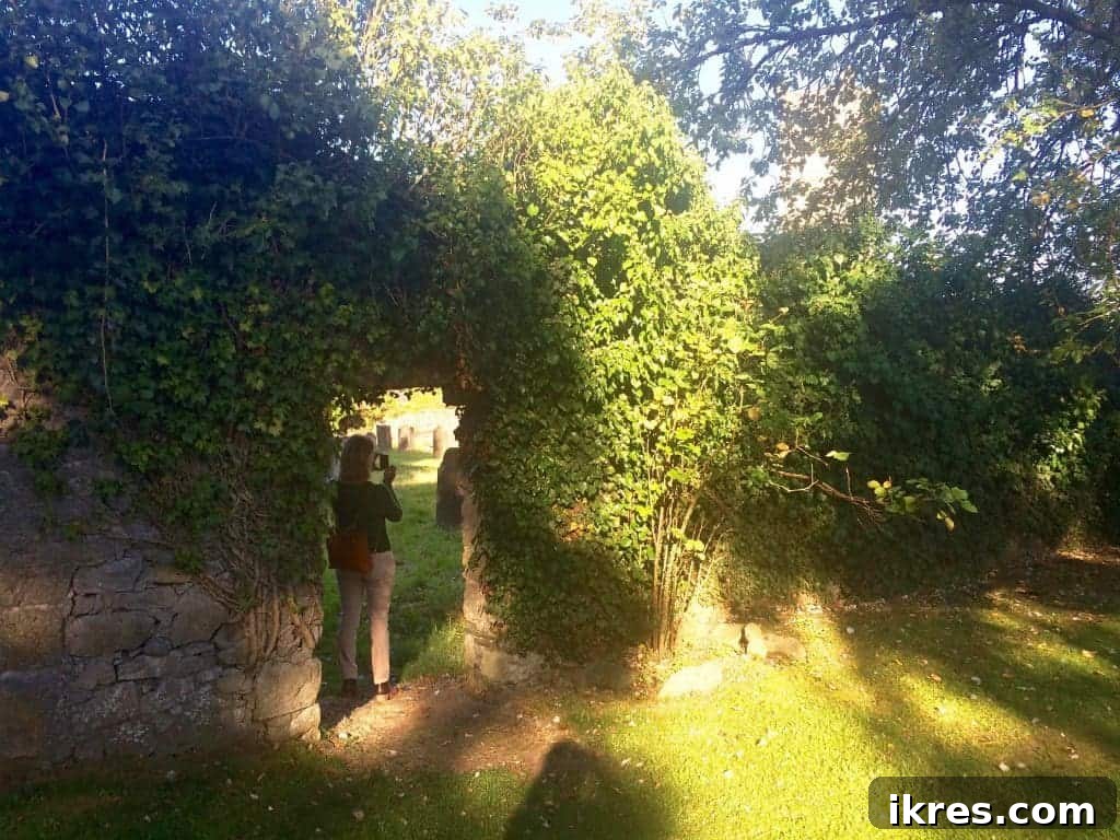 Southeast Ireland's Treasures: Kilkenny, Cashel, Durrow, and Wedding Memories 38 Path leading through the enchanting grounds of Castle Durrow