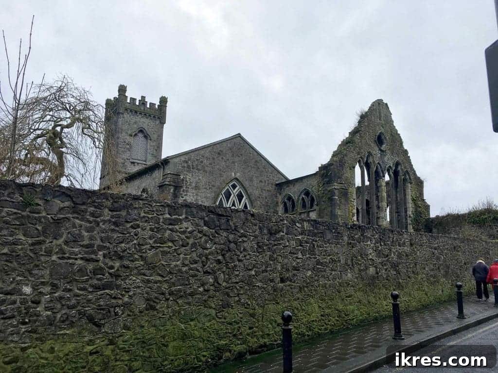 Southeast Ireland's Treasures: Kilkenny, Cashel, Durrow, and Wedding Memories 5 Historic bridge over the River Nore in Kilkenny, leading to the city center