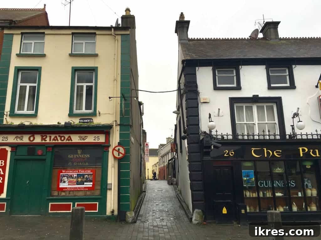 Southeast Ireland's Treasures: Kilkenny, Cashel, Durrow, and Wedding Memories 7 Vibrant flowers adorning a historic building in Kilkenny