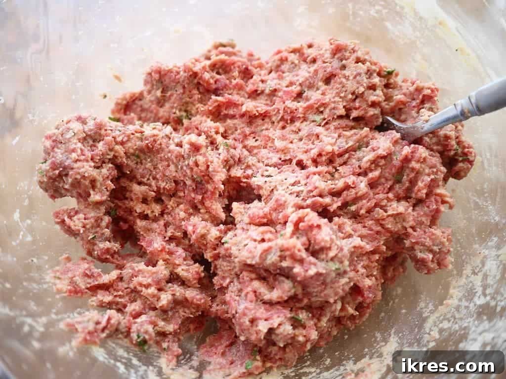 Wholesome Almond Flour Meatballs with Savory Sauce 4 Raw paleo Italian meatball mixture in a bowl, ready to be rolled.