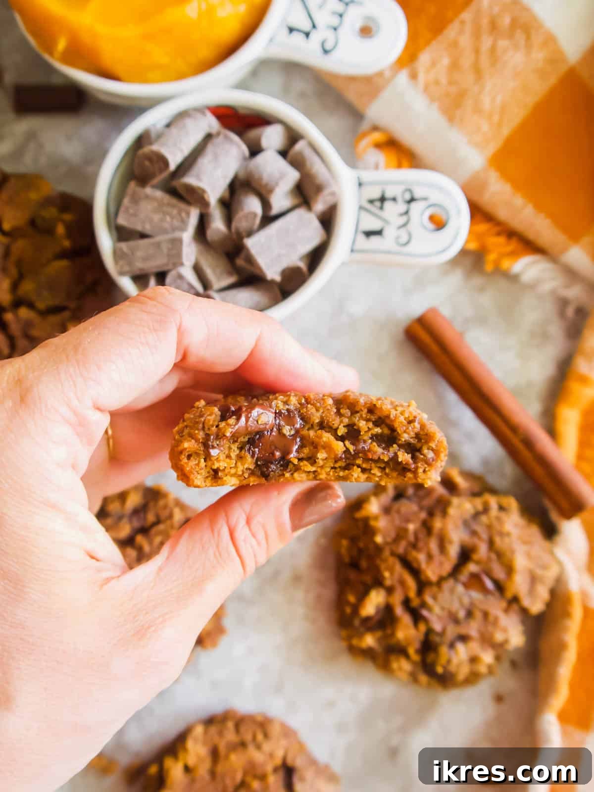 Grain-Free Pumpkin Spice Cookies 6 A Paleo Pumpkin Chocolate Chip Cookie held in hand, with a bite taken out, showing its soft interior and melted chocolate.