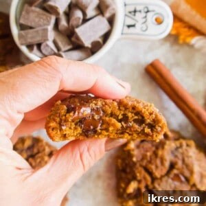 Grain-Free Pumpkin Spice Cookies 7 Paleo pumpkin cookies with chocolate chips inside, ready to be enjoyed.