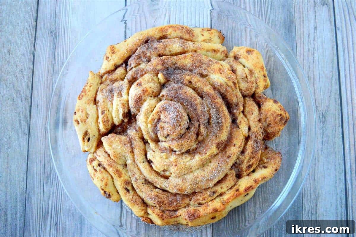 The baked giant fluffy cinnamon roll, golden brown and glistening with melted cinnamon sugar, before any glaze is added.