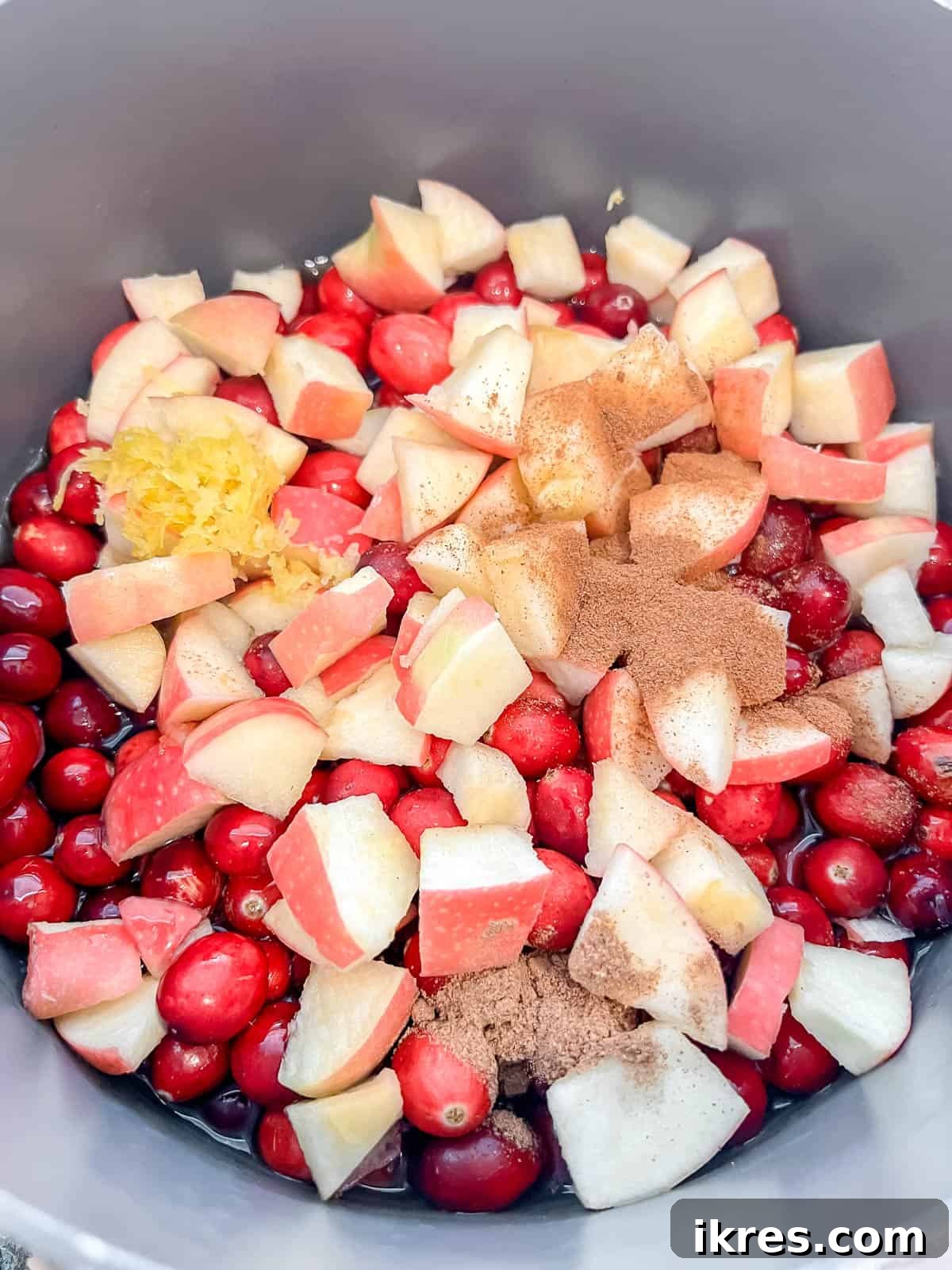 Ruby Apple Cranberry Compote 4 All fresh ingredients for cranberry apple sauce, including cranberries, diced apples, lemon slices, and spices, combined in a saucepan.