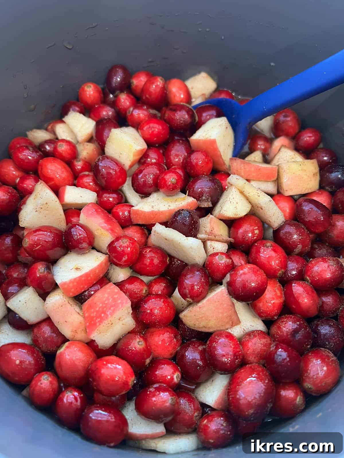 Ruby Apple Cranberry Compote 5 Cranberries and diced apples beginning to heat and release juices in a saucepan on a stovetop.