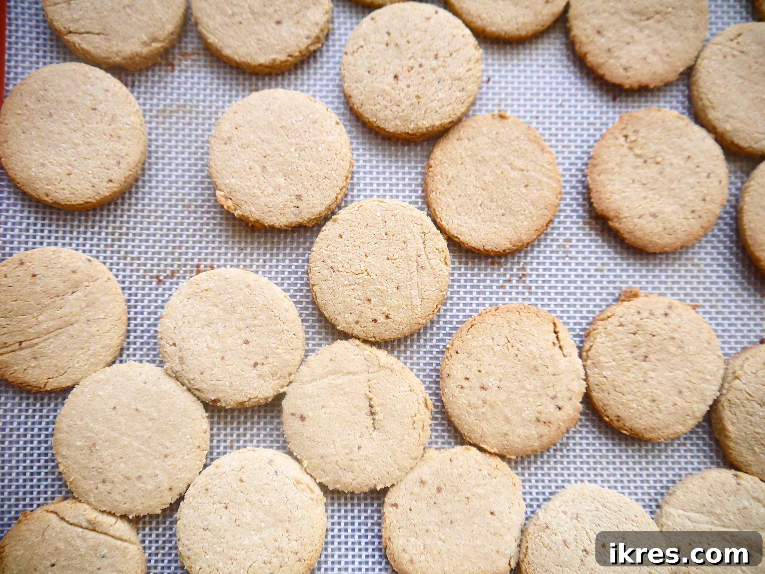 Freshly baked Paleo vanilla cookies, golden and ready for cooling.