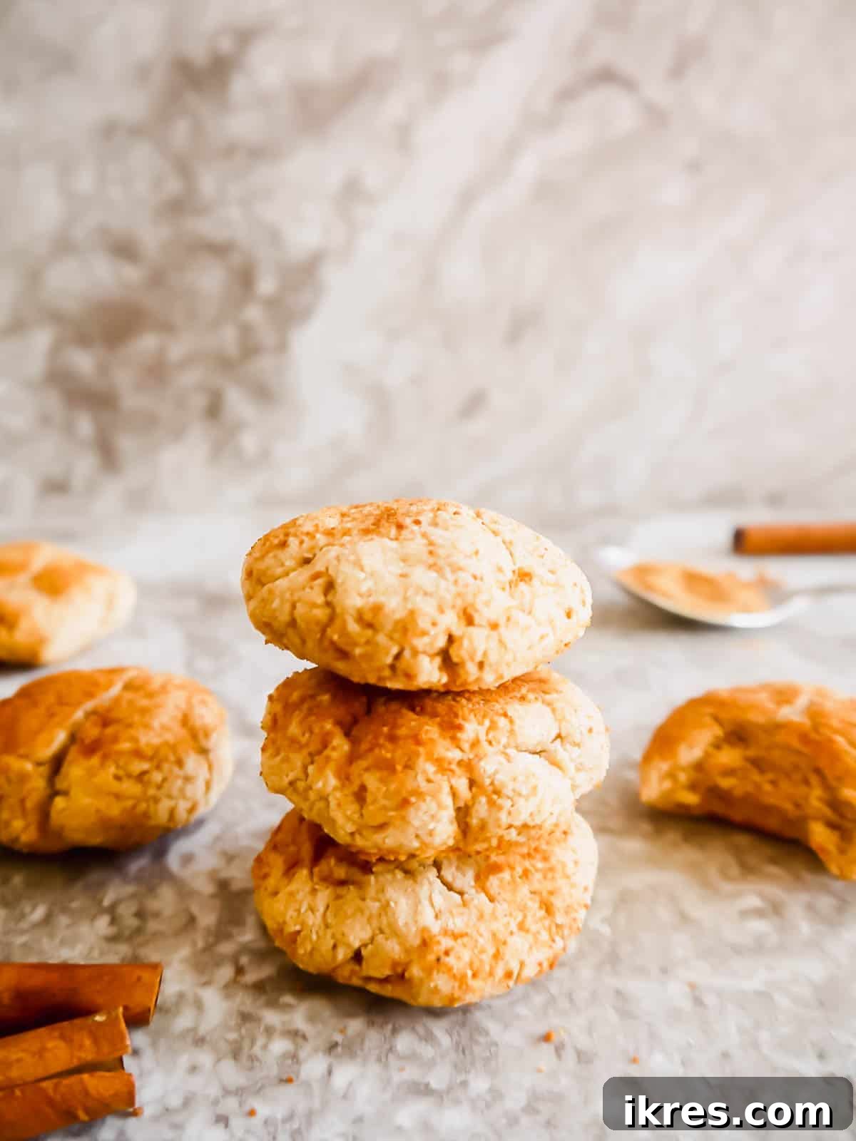 Melt-in-Your-Mouth Paleo Snickerdoodles 3 Grain-free snickerdoodles stacked neatly on top of each other, showing their soft texture.