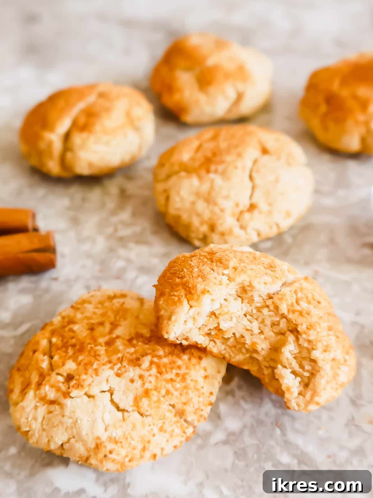 Melt-in-Your-Mouth Paleo Snickerdoodles 5 A gluten-free snickerdoodle with a bite taken out, revealing its soft interior.