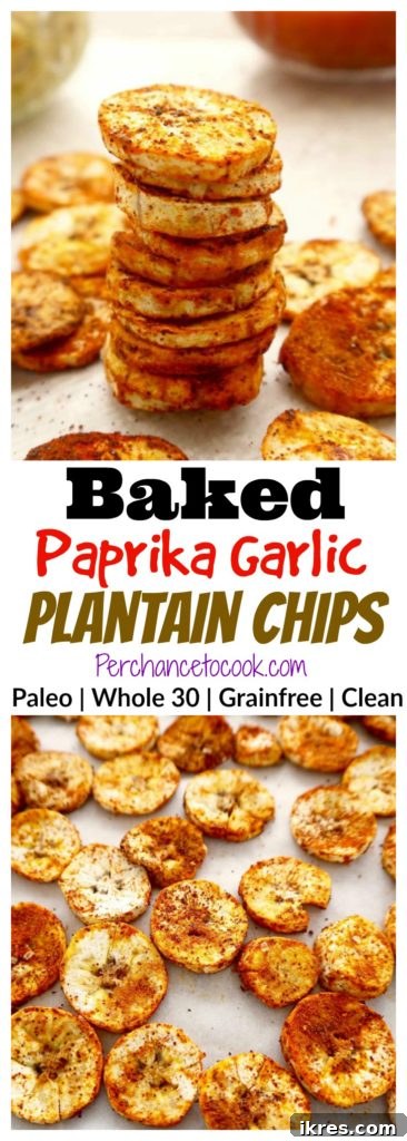 A final close-up of crispy baked plantain chips seasoned with paprika and garlic.