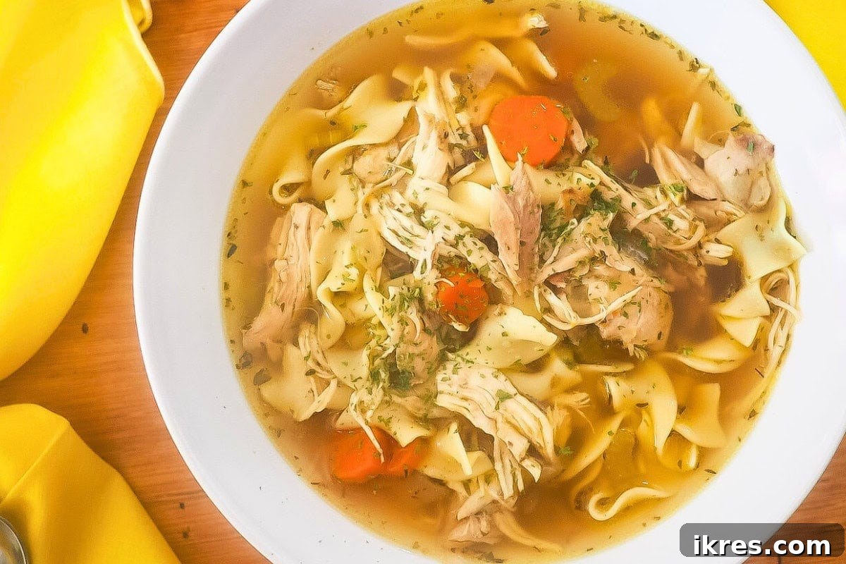 A bowl of comforting Easy Instant Pot Chicken Noodle Soup with tender chicken and noodles.