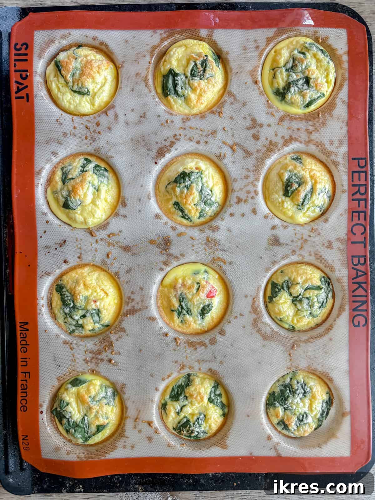 Cottage cheese egg bites after cooking.