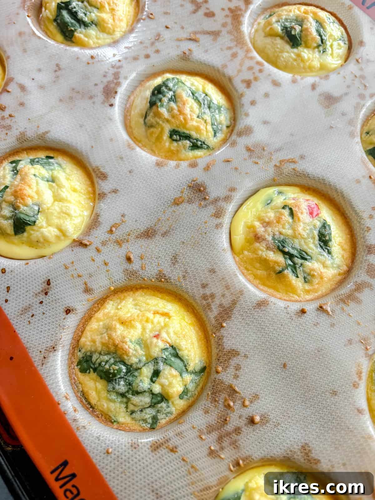 High protein egg bites cooling in pan.