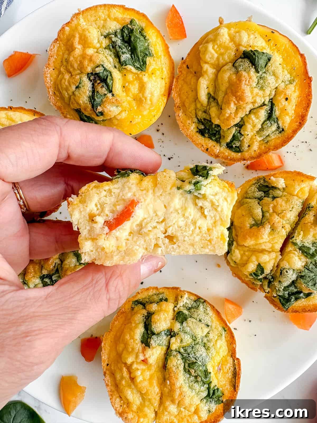 High protein egg bites with spinach and red peppers in hand.